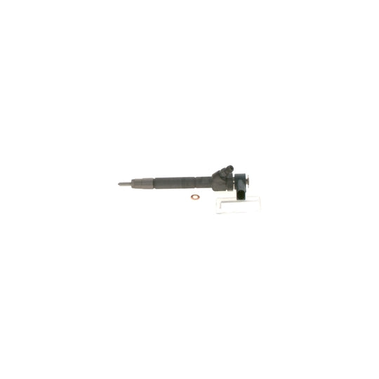 Bosch 0445110181 Injector Nozzle