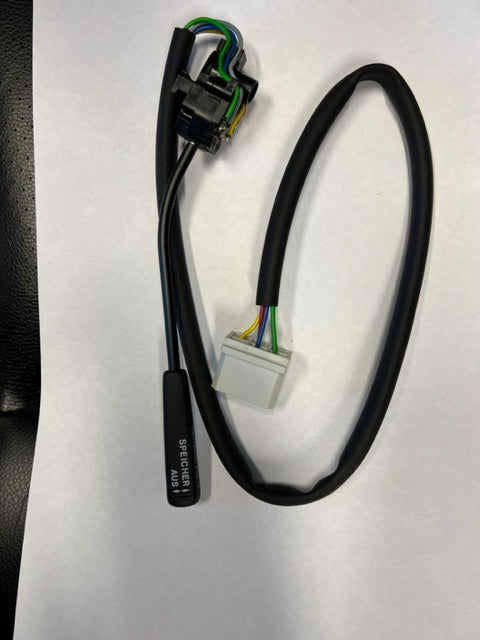 202 484 CRUISE CONTROL SWITCH SWF