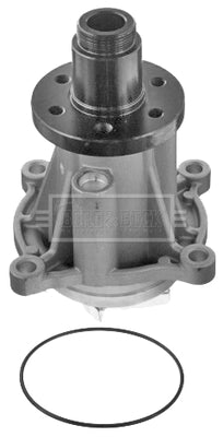 LR008863 PUMP WATER 3.6TDV8 BORG BWP2147
