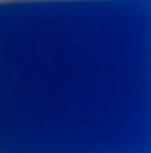 595 620 INSERT - BLANK - BLUE SWF