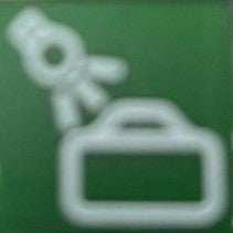 595 965 INSERT GREEN - TRUNK LIGHT SWF SWF595965 (DE)