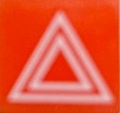 596 170 INSERT- HAZARD WARNING ORANGE SWF