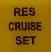 596 610C INSERT - CRUISE RES/SET SWF