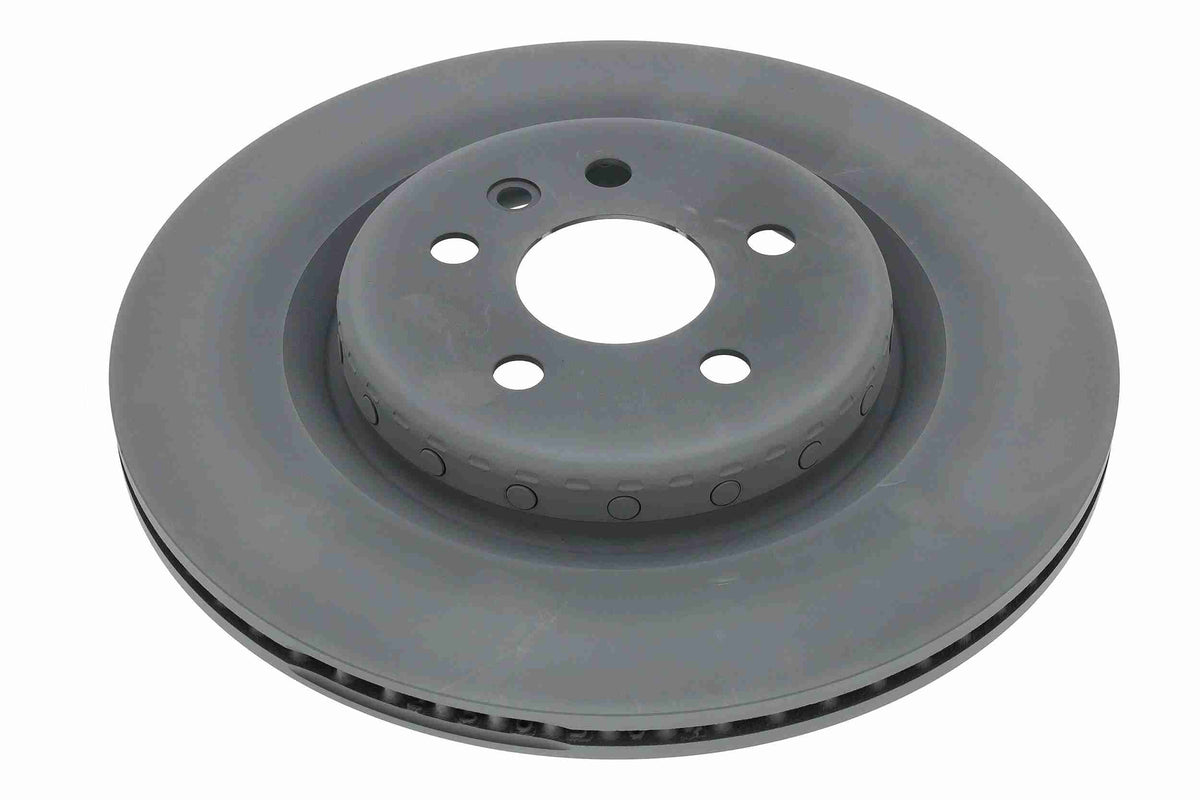 LR161919 ROTORS REAR