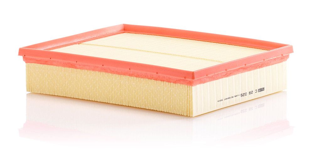 6C0 129 620 AIR FILTER  C29029   [DAJB] C29029