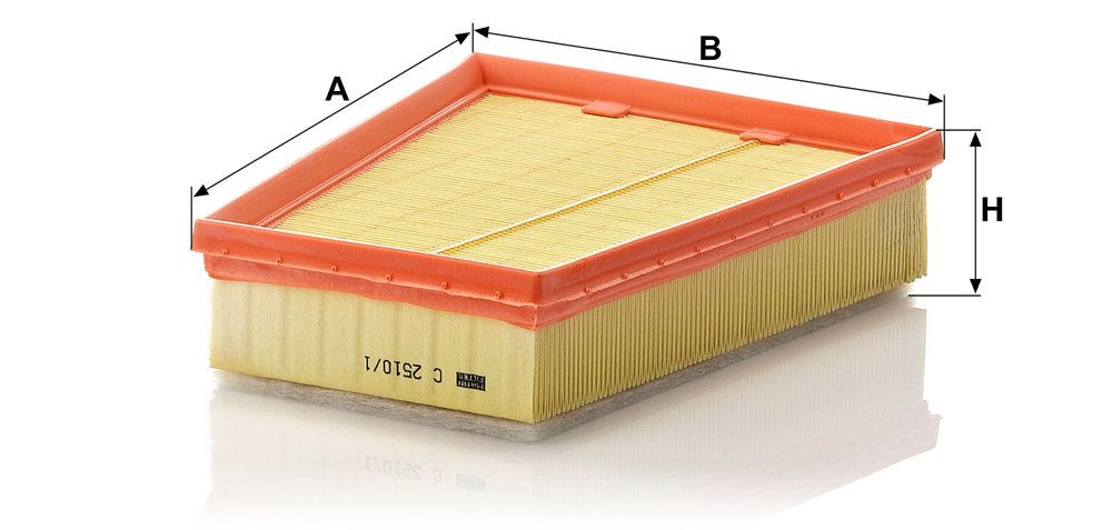 16 54 628 62R MA AIR FILTER KANGOO - C2510/1* # C2510/1