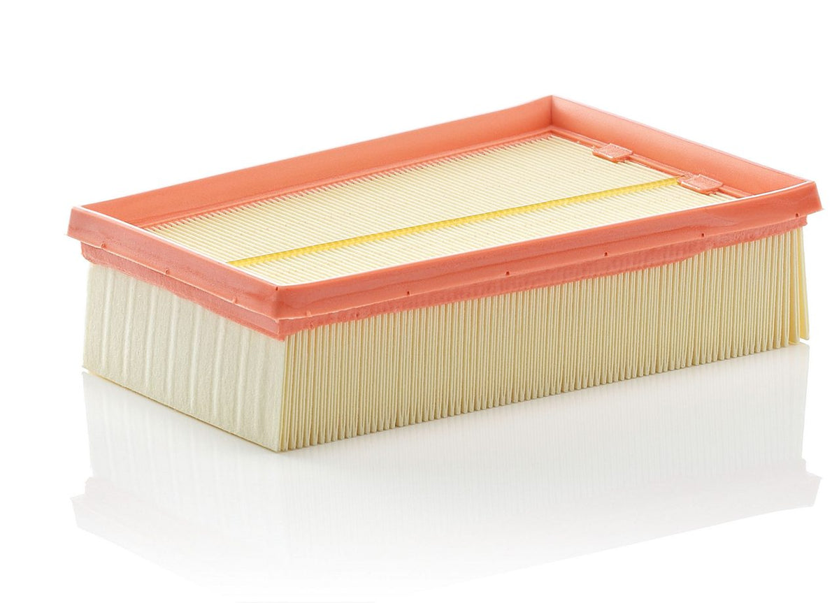 MANN-FILTER C 2433/2 Air Filter