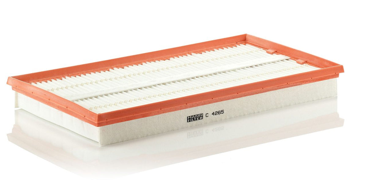 MANN-FILTER C 4265 Air Filter