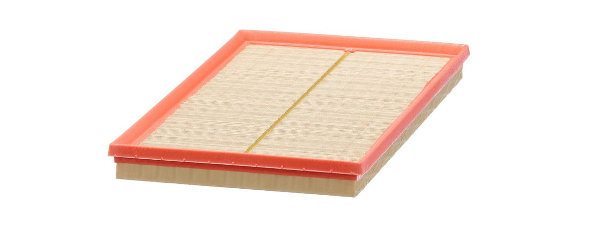 MANN-FILTER C 42 002 Air Filter