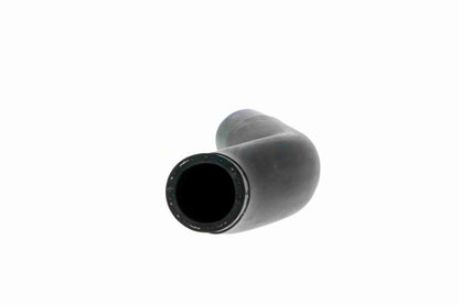 17 12 7 559476 BOTTOM HOSE MINI V20-2608