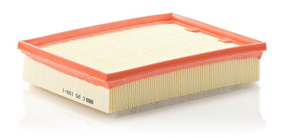 8200602361 AIR FILTER LUGUNA/LATITUDE 2.0TDI