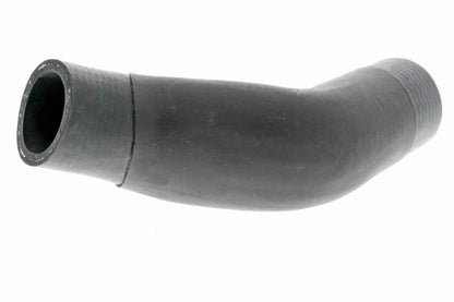 17 12 7 559476 BOTTOM HOSE MINI V20-2608