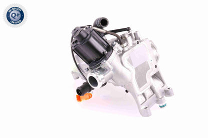 059 131 515CC EGR COOLER + EGR 30TDI