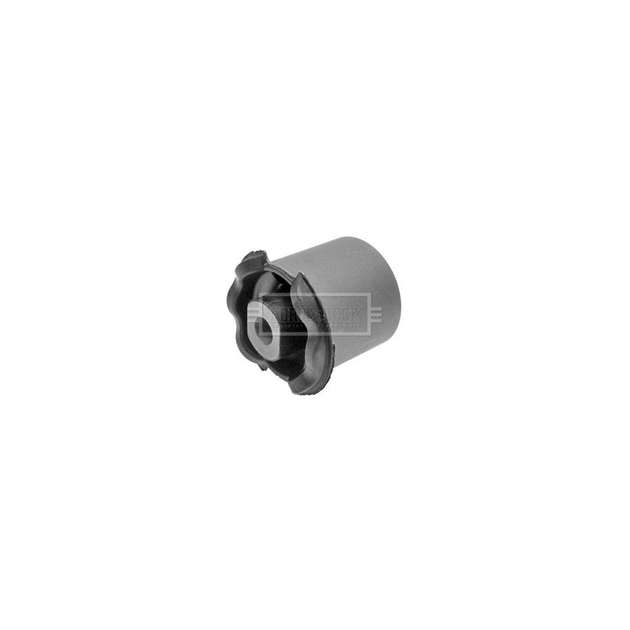 RBX500531 BNB CONTROL ARM INNER BUSH FRONT LOWER REAR RANGE ROVER SPORT BORG BSK6928