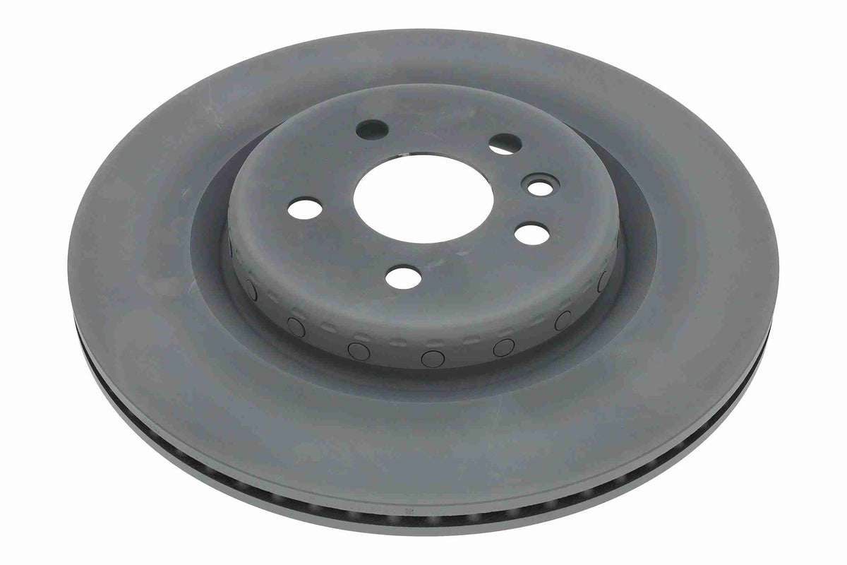 LR161919 ROTORS REAR