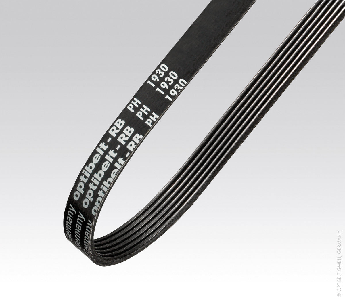 Optibelt RB family image